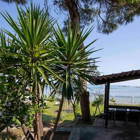 Docker 2 Beachfront By Halkidiki *